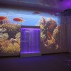 Проекционный дизайн "Виртуальная реальность" безлимитный комплект 1200 анимаций - «globural.ru» - Верхняя Пышма