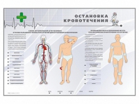 Электрифицированный стенд "Остановка кровотечения" - «globural.ru» - Верхняя Пышма