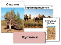 Модель-аппликация "Природные зоны России" - «globural.ru» - Верхняя Пышма