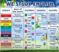 Стенд "We study english" - «globural.ru» - Верхняя Пышма