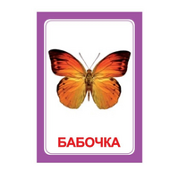Логопедка "Ч" (логопедические карточки) - «globural.ru» - Верхняя Пышма