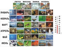 Фенологические наблюдения - «globural.ru» - Верхняя Пышма