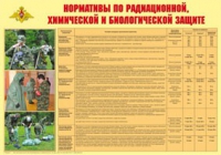 Плакат "Нормативы по радиационной, химической и биологической защите" - «globural.ru» - Верхняя Пышма