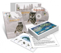 Комбинированное наглядное пособие «Животные» - «globural.ru» - Верхняя Пышма