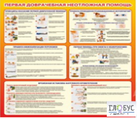 Стенд "Первая доврачебная неотложная помощь" - «globural.ru» - Верхняя Пышма