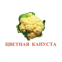 Карточки Домана "Овощи-Зелень-2" - «globural.ru» - Верхняя Пышма
