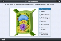 Интерактивные курсы. Биология 9 класс. Расширенный - «globural.ru» - Верхняя Пышма