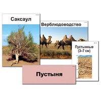 Модель-аппликация "Природные зоны России" - «globural.ru» - Верхняя Пышма