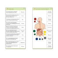 Комплект карточек (10) "Обучающий калейдоскоп. Человек" - «globural.ru» - Верхняя Пышма