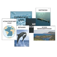 Модель-аппликация "Океаны. Знакомство" (ламинированная) - «globural.ru» - Верхняя Пышма