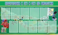 Стенд "Подготовка к ЕГЭ и ОГЭ по биологии" (вариант 2) - «globural.ru» - Верхняя Пышма