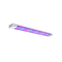 Фитолампа - «globural.ru» - Верхняя Пышма