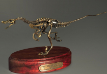 Модель скелета динозавра Velociraptor - «globural.ru» - Верхняя Пышма