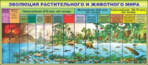 Стенд "Эволюция растительного и животного мира" - «globural.ru» - Верхняя Пышма