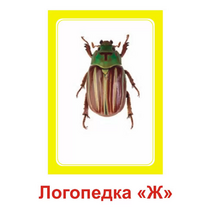 Логопедка "Ж" (логопедические карточки) - «globural.ru» - Верхняя Пышма