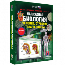 Наглядная биология. Человек. Строение тела человека - «globural.ru» - Верхняя Пышма