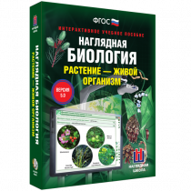 Наглядная биология. Растение - живой организм - «globural.ru» - Верхняя Пышма