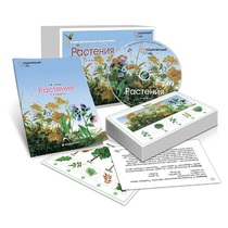 Комбинированное наглядное пособие «Растения» - «globural.ru» - Верхняя Пышма