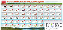 Стенд "Красная книга РФ" - «globural.ru» - Верхняя Пышма