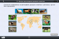 Интерактивные курсы. Биология 7 класс. Расширенный - «globural.ru» - Верхняя Пышма