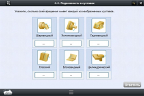 Интерактивные курсы. Биология 8 класс. Расширенный - «globural.ru» - Верхняя Пышма