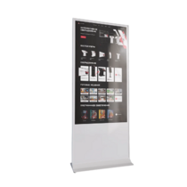 Интерактивный сенсорный киоск Nova 55" - «globural.ru» - Верхняя Пышма