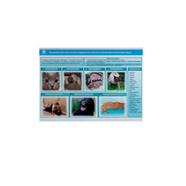 Стенд-планшет светодинамический «Острые отравления животных лекарственными препаратами» - «globural.ru» - Верхняя Пышма