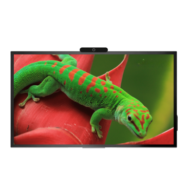 Интерактивная панель Geckotouch Interactive 86R - «globural.ru» - Верхняя Пышма