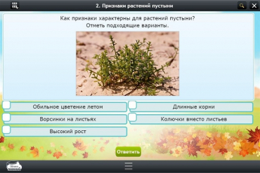 Интерактивные курсы. Окружающий мир 3 класс. Базовый - «globural.ru» - Верхняя Пышма