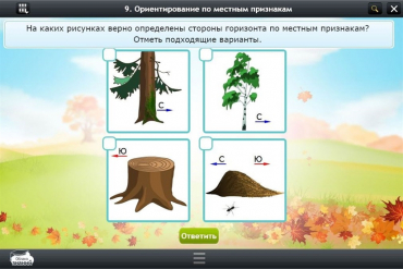 Интерактивные курсы. Окружающий мир 1 класс. Базовый - «globural.ru» - Верхняя Пышма
