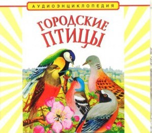CD "Аудиоэнциклопедия. Городские птицы" - «globural.ru» - Верхняя Пышма