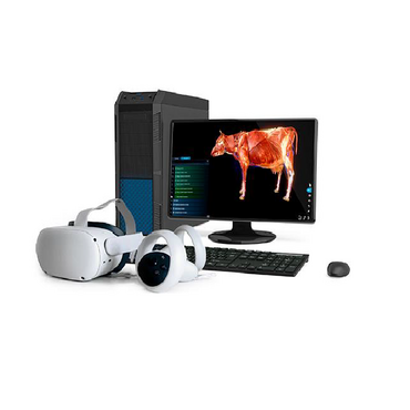 Интерактивный учебный комплекс «Анатомия Коровы» - «globural.ru» - Верхняя Пышма